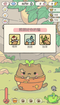 我的貓鍋