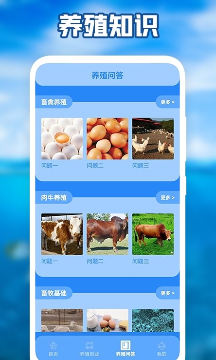 養豬場之星