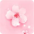 桃花社交