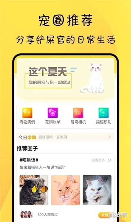 宠物记录