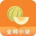 肉丸书吧小说