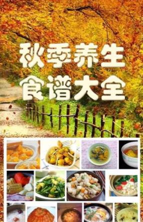秋季养生食谱大全