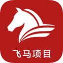 飛馬項目