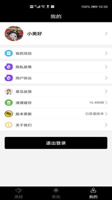 飛馬項目