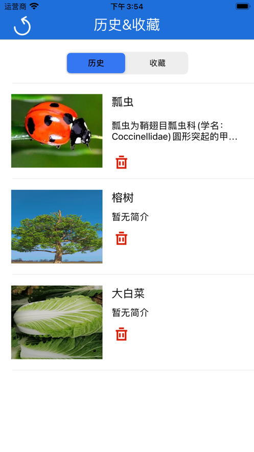 昆虫科普记