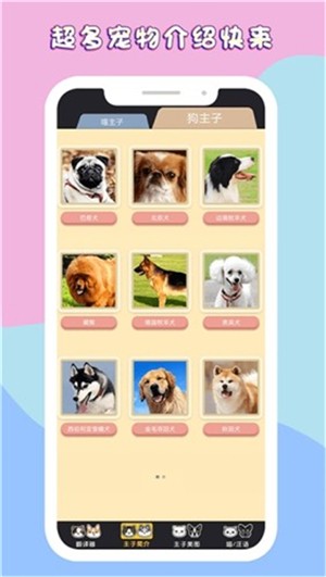 人狗猫语翻译交流器