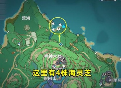 原神海灵芝采集刷新点2022分享 2.8版本海灵芝采集路线一览