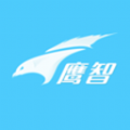 鹰智物流