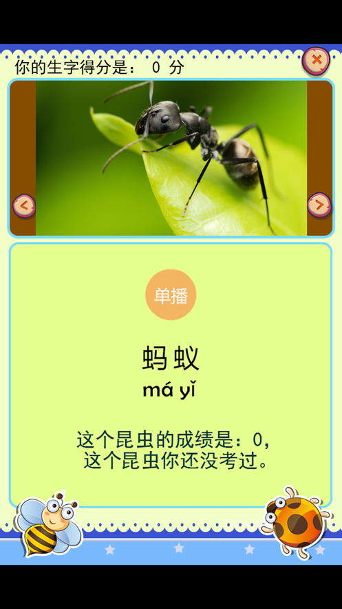 宝宝识字学说话