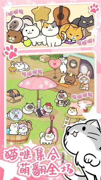 地鐵遇見貓