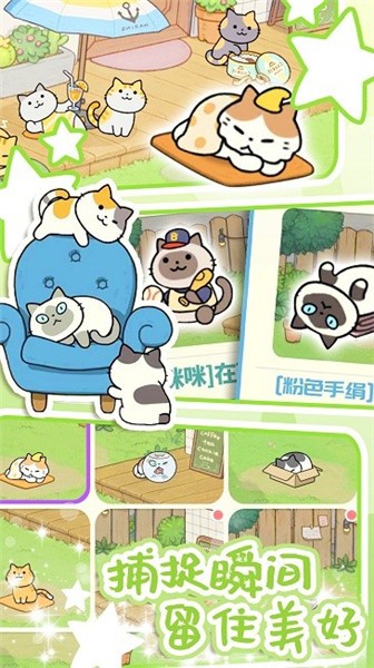 地鐵遇見貓