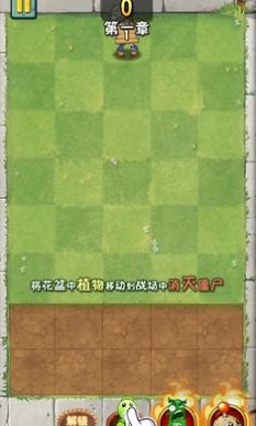 植物大戰僵尸瘋狂