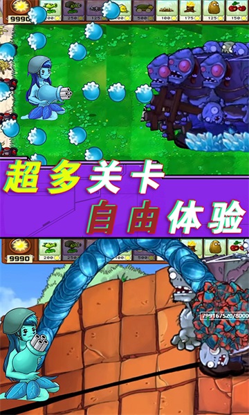 植物僵尸總動員