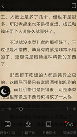 蓝莓小说软件