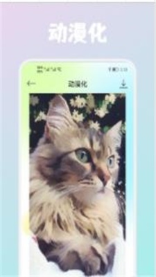 Wink画质修复