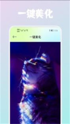 Wink画质修复