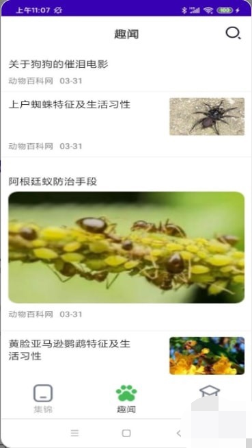 精彩动物世界