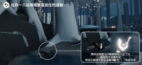光遇紫色光芒位置在哪 8.10每日任务完成方法一览