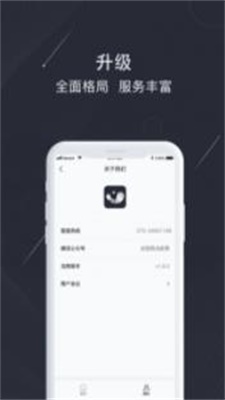 银闪闪