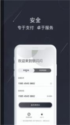 银闪闪