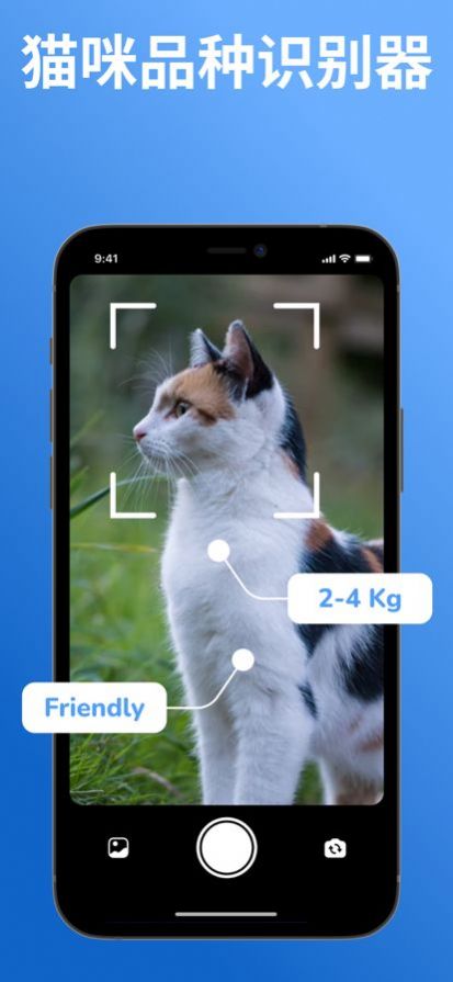 猫品种标识符