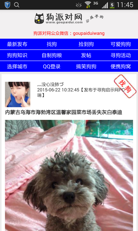 寻狗启示