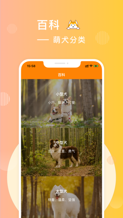 萌犬屋