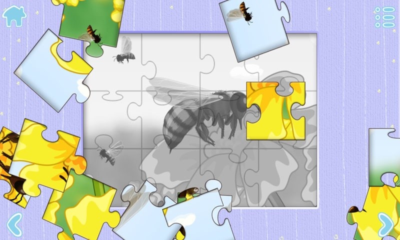 小蜜蜂儿童益智