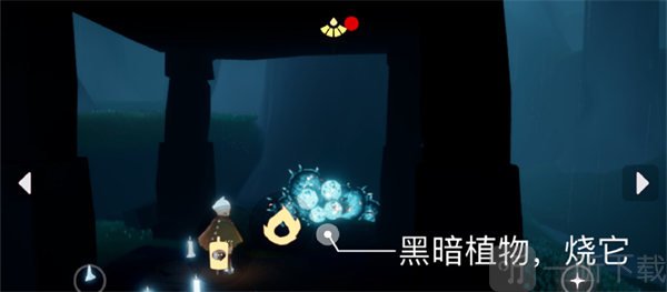 光遇红色光芒在哪 8.19每日任务完成方法分享