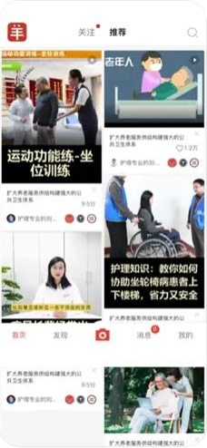 老羊
