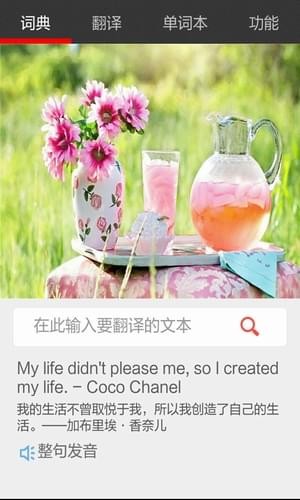 小崔词典