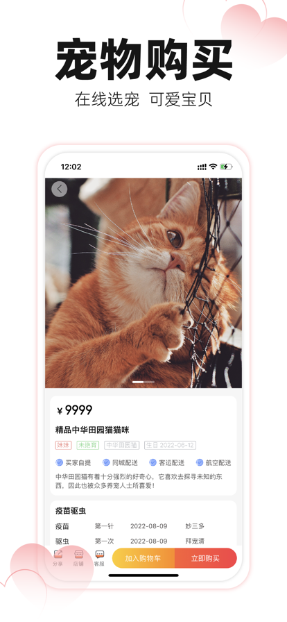 宠易得