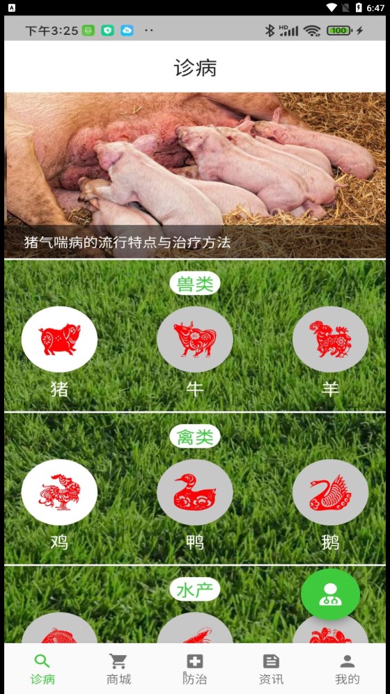 百畜兴旺
