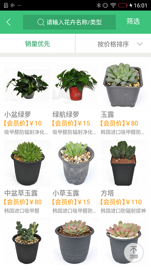 青青绿植