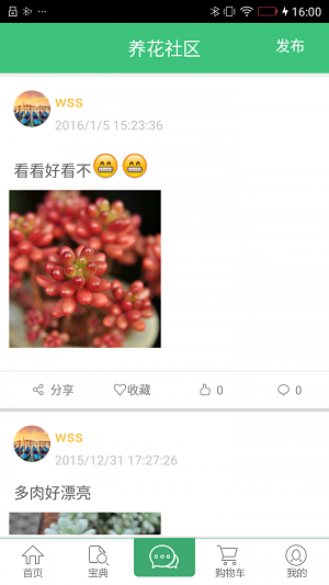 青青绿植