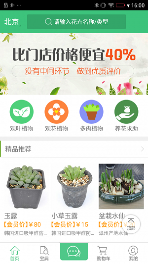 青青绿植