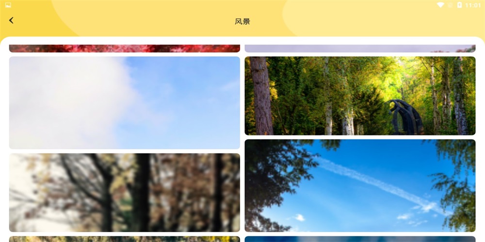 炫彩主题壁纸