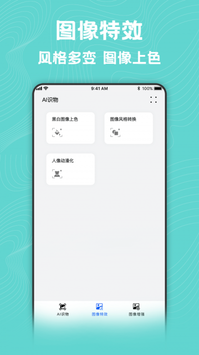 照片风格转换器