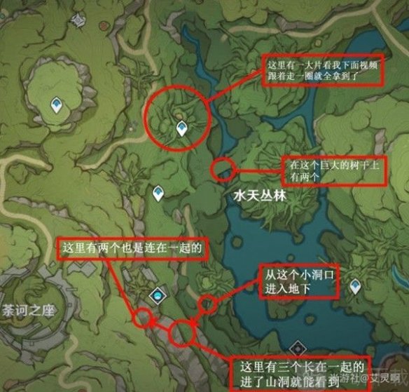 原神柯萊突破材料采集位置分享 柯萊突破材料路線分享