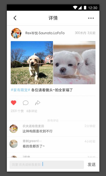 爪爪宠物