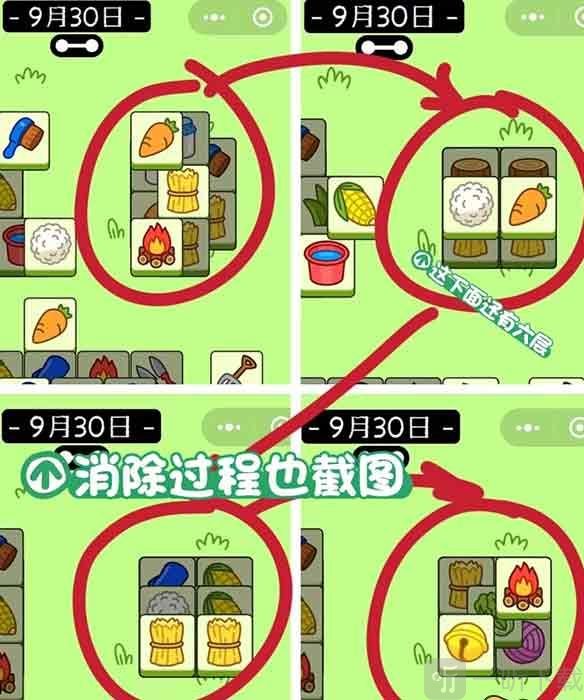 羊了个羊9.30关卡攻略 9月30日每日一关通关方法一览