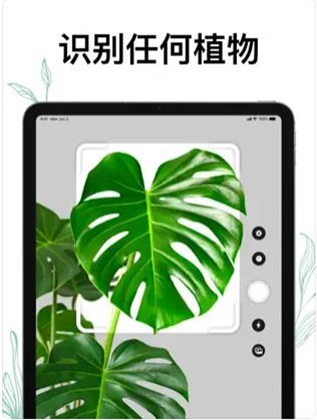 植物air軟件免費版下載-植物air手機版下載v1.0.0-一聽下載站