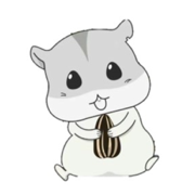 宅鼠骑手