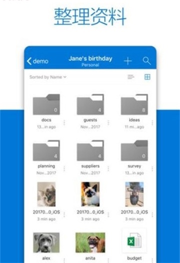 OneDrive