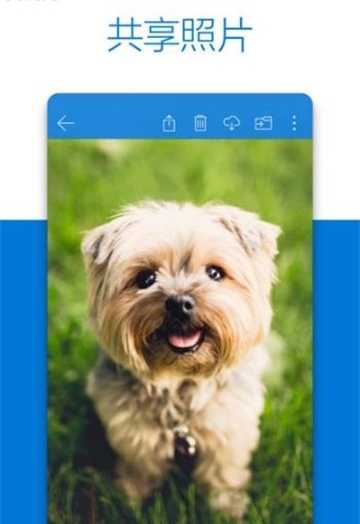 OneDrive