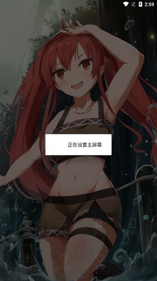 次元壁纸高级版