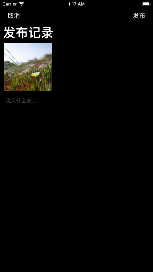 萌宠相机日记