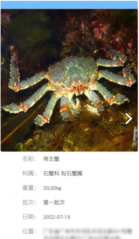 南海天然海鲜商家