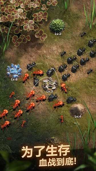 小小蚁国修改器