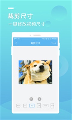 藍莓去水印